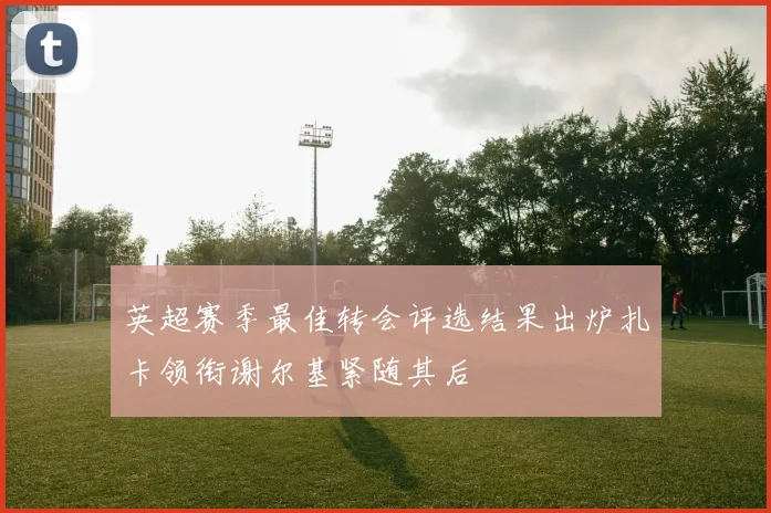 英超赛季最佳转会评选结果出炉扎卡领衔谢尔基紧随其后